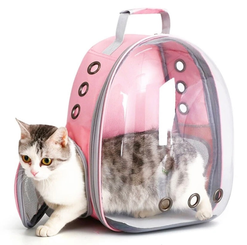 Sac à dos respirant pour animaux de compagnie, capsule transparente, sac à bulles pour chat, petit animal, chiot, chaton, oiseau, voyage